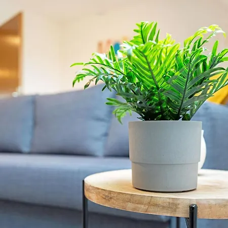 Helles Modernes Zentrales Studio, Nahe Btu, Vollausgestattet&parkplatz Auf Anfrage Apartment *